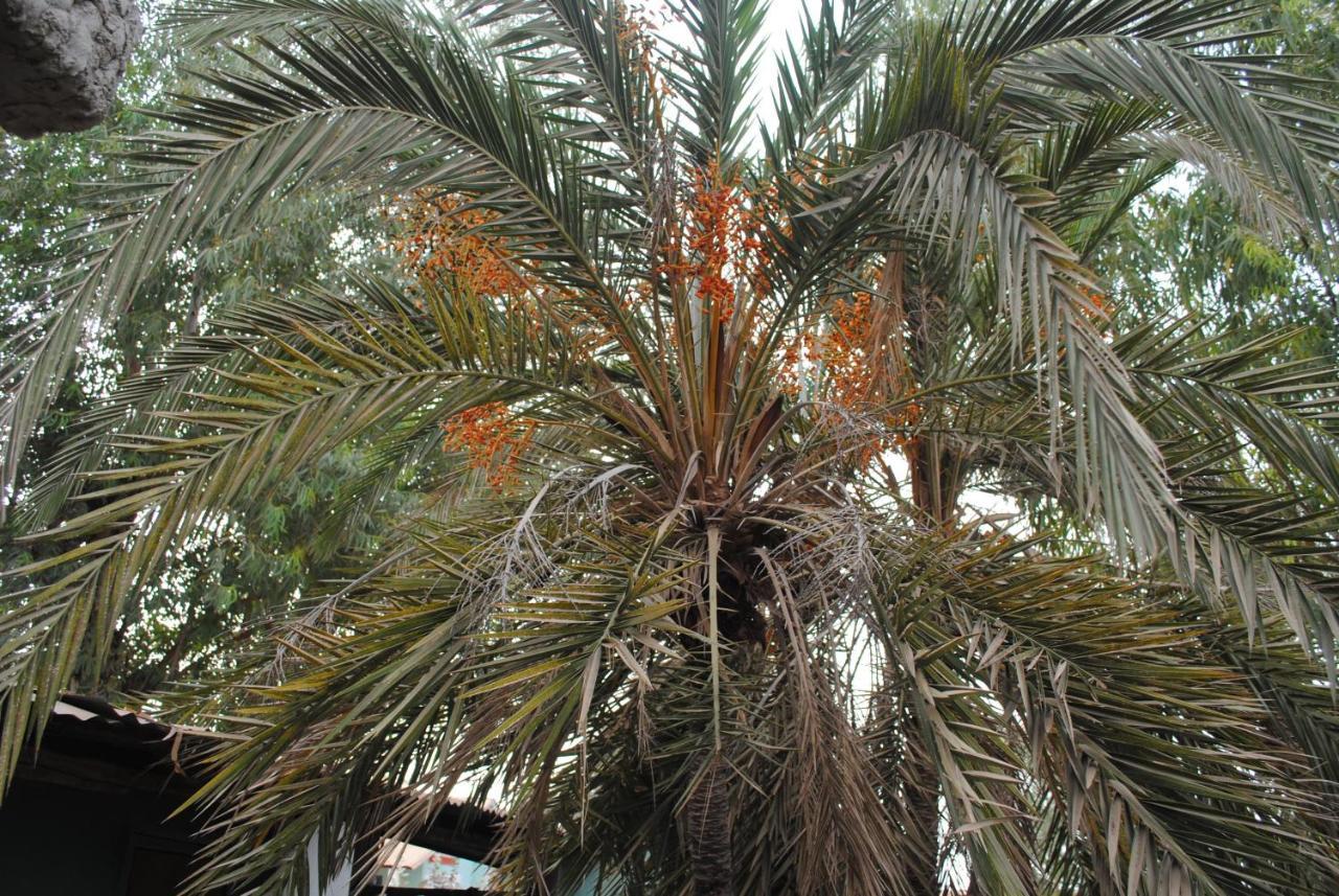 Rainbow Beach Resort Sanyang Εξωτερικό φωτογραφία